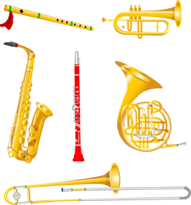 Fúvós (furulya, fuvola, klarinét, szaxofon)